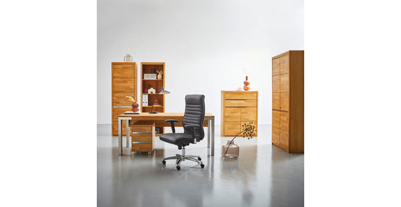 AKTENREGAL 65/201/41 cm - Wildeiche, KONVENTIONELL, Holz/Holzwerkstoff (65/201/41cm) - Linea Natura