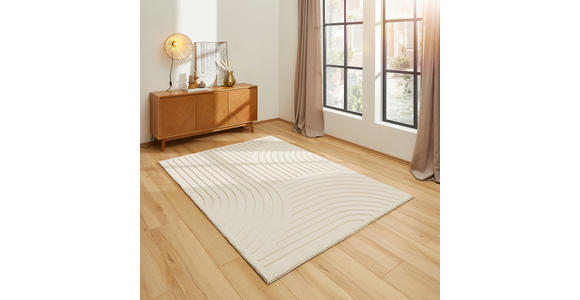 HOCHFLORTEPPICH 40/60 cm Siena Beige rechteckig  - Beige, Design, Kunststoff/Textil (40/60cm) - Boxxx