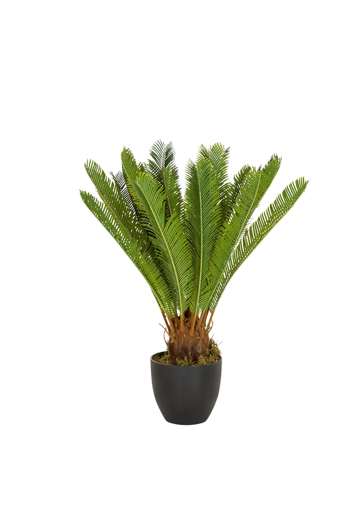 KONSTVÄXT palmträd  - grön/svart, Basics, textil/plast (70/70/70cm) - MID.YOU