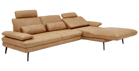 ECKSOFA Honig Echtleder  - Schwarz/Honig, Design, Leder/Metall (310/180cm) - Dieter Knoll