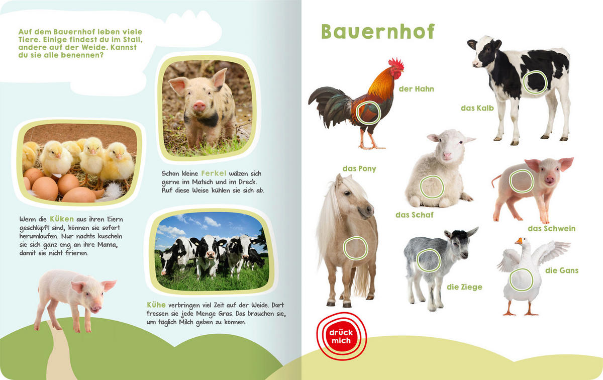 BUCH  - Multicolor, Basics, Naturmaterialien (27,7/22,2/1,1cm) - Carlsen