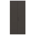 DREHTÜRENSCHRANK 101/223/61 cm,  in Graphitfarben, 2-türig  - Graphitfarben, Basics, Holzwerkstoff/Metall (101/223/61cm) - Novel