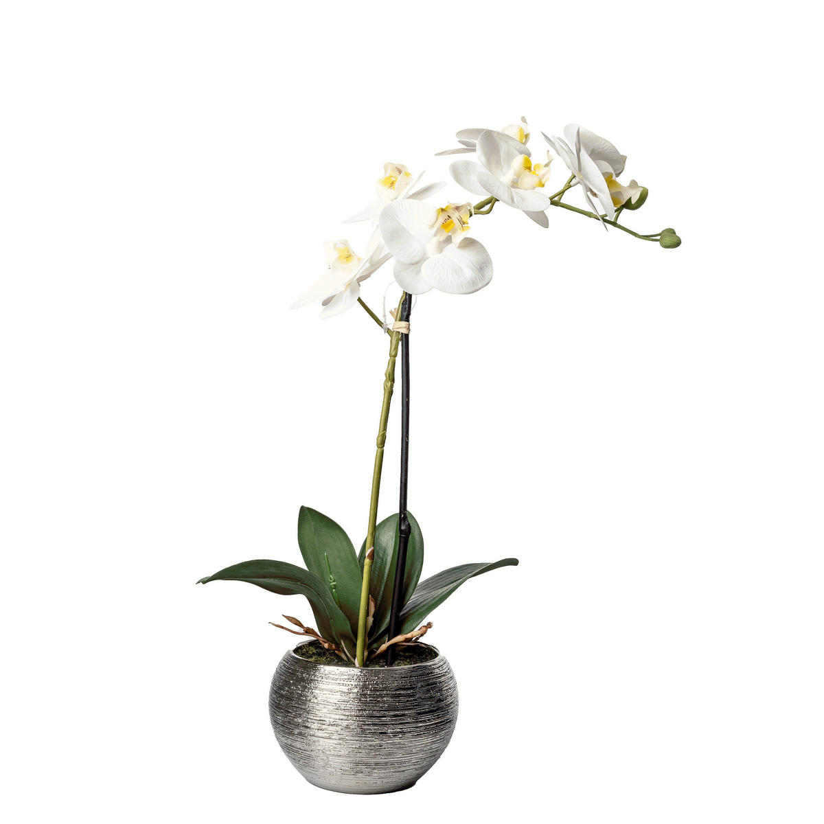 ORCHIDEE - Weiss/Silberfarben, Basics, Keramik/Kunststoff (45cm)