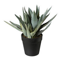 KUNSTPFLANZE Sukkulente 25 cm  - Schwarz/Graugrün, Basics, Kunststoff (25cm)