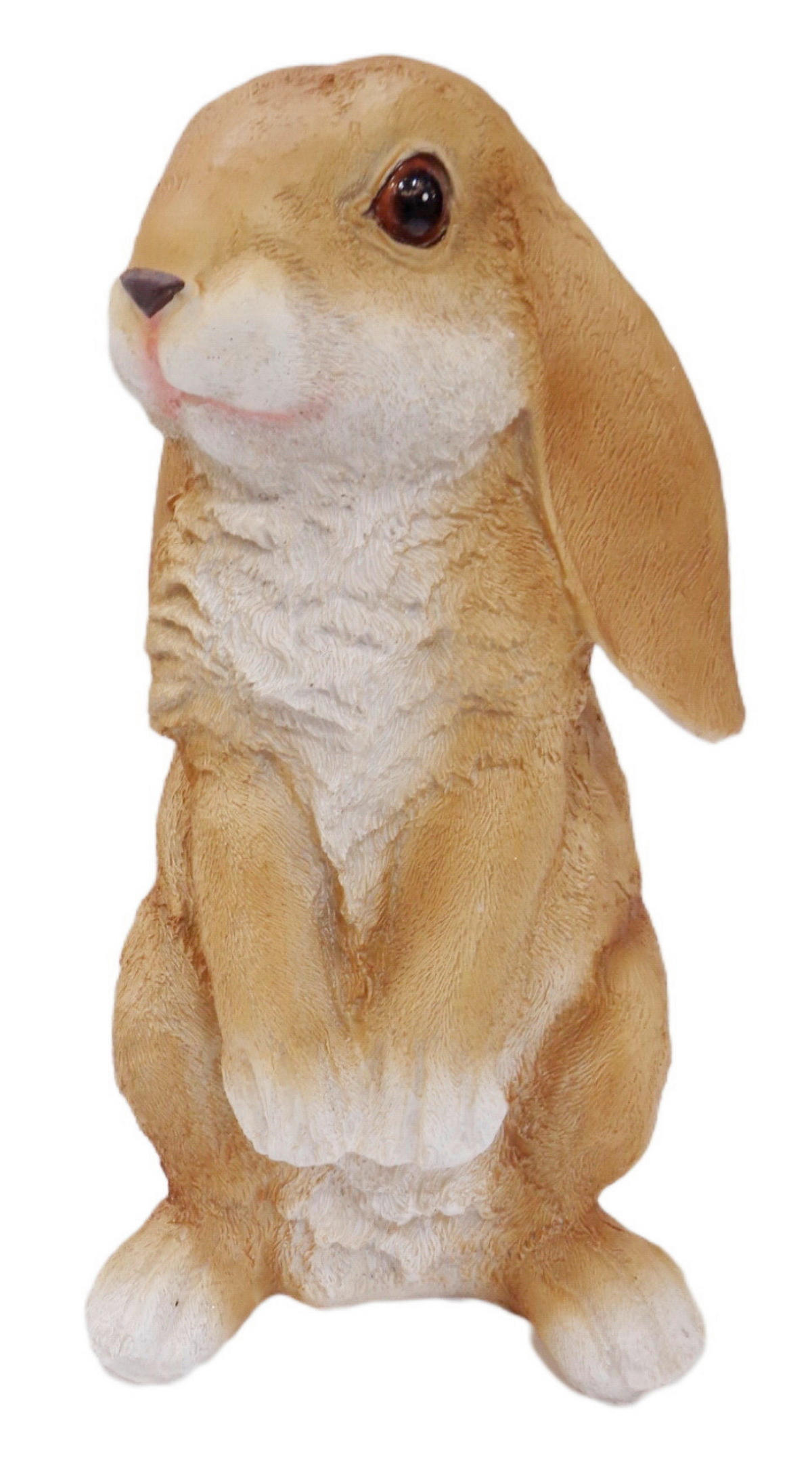 DEKOHASE   - Schwarz/Braun, LIFESTYLE, Kunststoff (11,8/20,6/10,8cm)