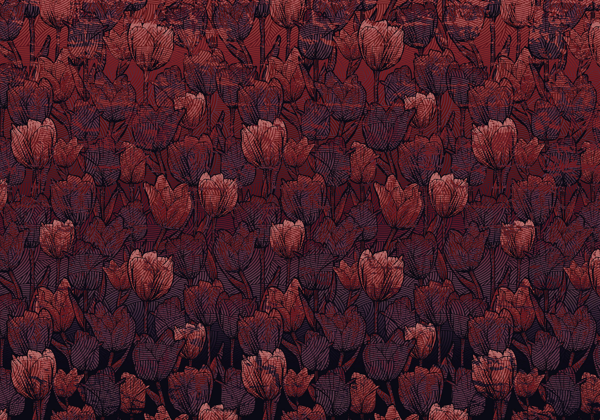 Komar Vliestapete 400x280 cm