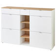 SCHUHSCHRANK 148/103/38 cm - Silberfarben/Schwarz, Design, Holzwerkstoff/Kunststoff (148/103/38cm) - Xora