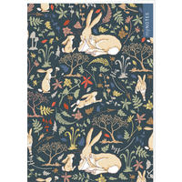 BUCH  - Multicolor, Basics, Papier (14,5/21/0,7cm)