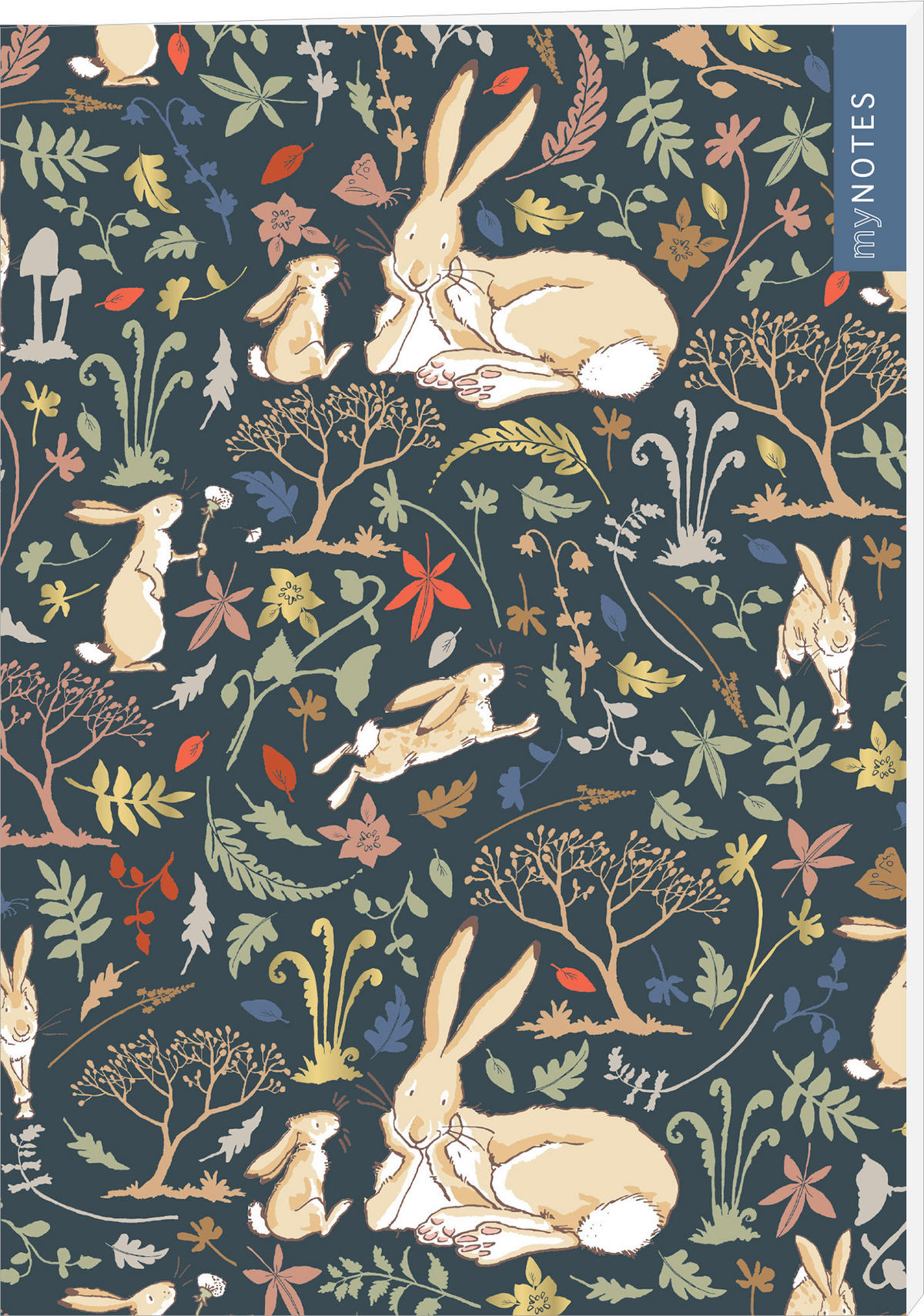 BUCH  - Multicolor, Basics, Papier (14,5/21/0,7cm)