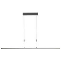 LED-HÄNGLAMPA 6/160 cm  - svart, Design, metall (6/160cm) - Fischer & Honsel