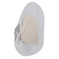 LED VÄGGLAMPA DORSEY 20,3/31,5 cm   - klar/vit, Design, metall/glas (20,3/31,5cm) - Globo