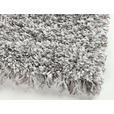 HOCHFLORTEPPICH 60/90 cm FANTASY SHAGGY Silberfarben  - Silberfarben, Basics, Textil (60/90cm) - Novel