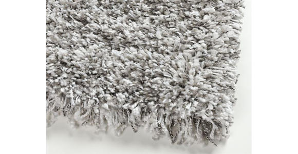 HOCHFLORTEPPICH 60/90 cm FANTASY SHAGGY Silberfarben  - Silberfarben, Basics, Textil (60/90cm) - Novel