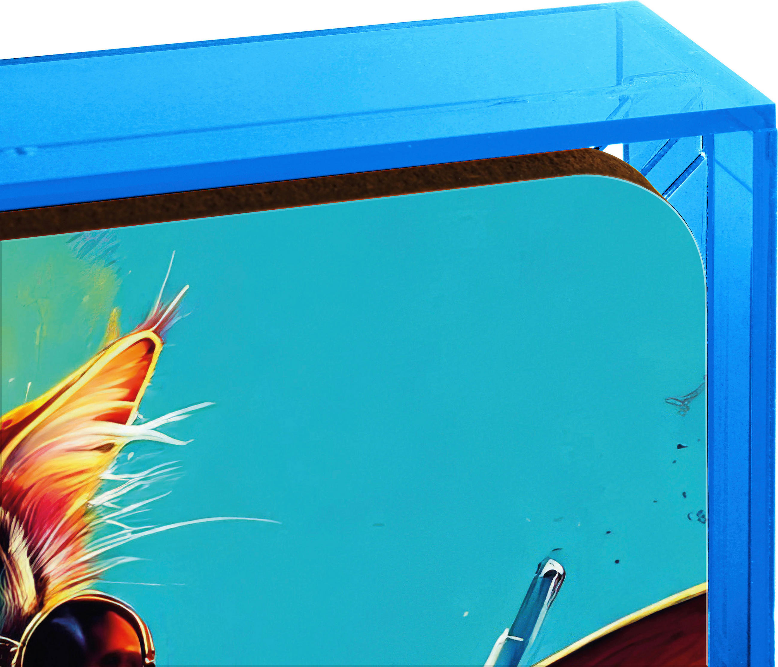 ACRYLGLASBILD Tiere  - Multicolor/Hellblau, MODERN, Kunststoff (31/31/3,5cm)