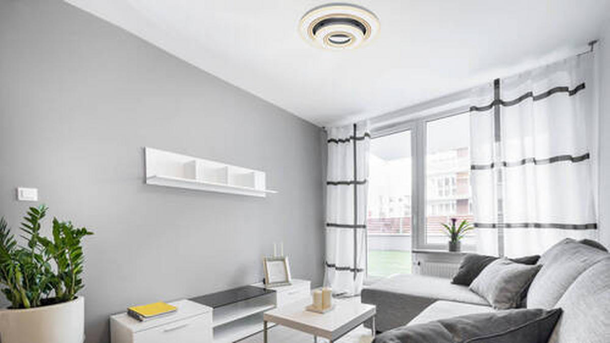 LED-DECKENLEUCHTE 50/11,5 cm   - Design (50/11,5cm)