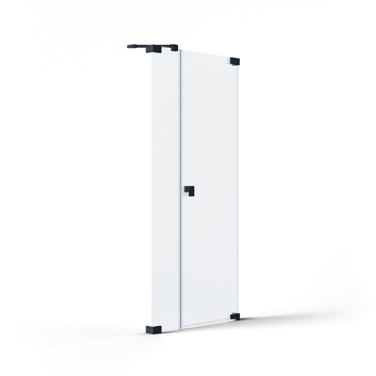 DUSCHTÜR Schwarz  80/200 cm  - Schwarz, MODERN, Glas/Metall (80/200cm) - Schöner Wohnen