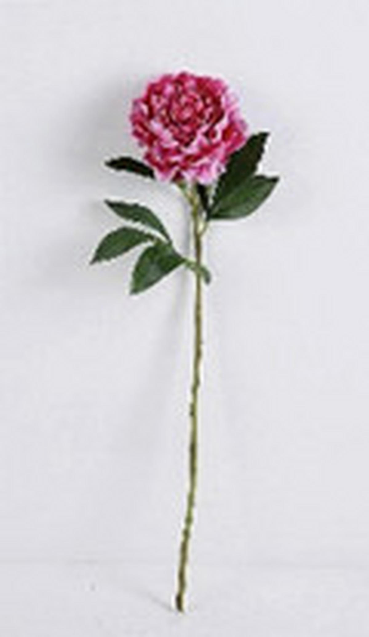 MŰNÖVÉNY - magenta/fehér, Basics, műanyag