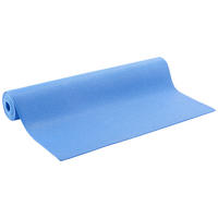 YOGAMATTE - Blau, Basics, Kunststoff (61/173cm)