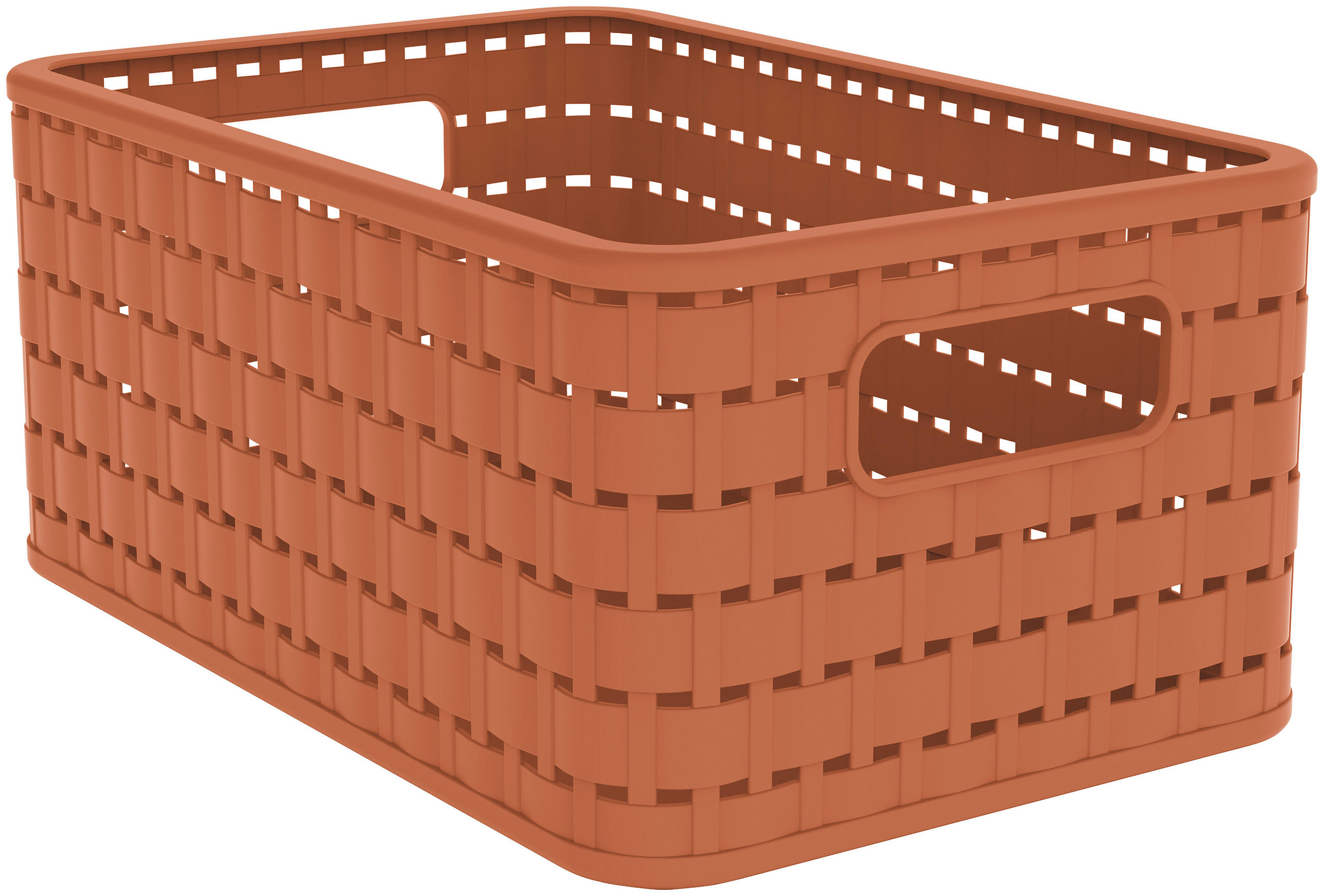 Rotho ÚLOŽNÝ BOX, plast