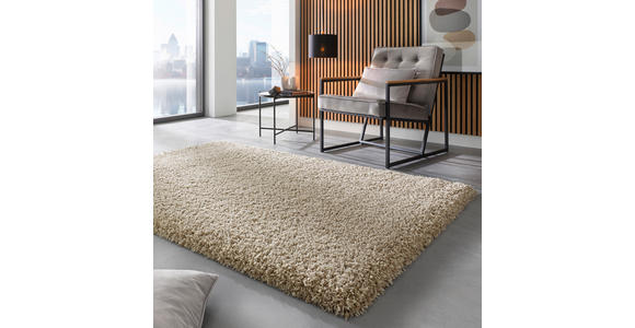 HOCHFLORTEPPICH 65/130 cm Weiß, Beige  - Beige/Weiß, Basics, Textil (65/130cm) - Novel