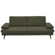 3-SITZER-SOFA  in Echtleder Grün   - Schwarz/Grün, Design, Leder/Metall (222/86/104cm) - Dieter Knoll