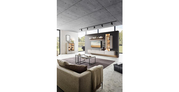 WOHNWAND  in Grau, Wildeiche  303,8/220,3/37,1 cm  - Wildeiche/Schwarz, Design, Glas/Holz (303,8/220,3/37,1cm) - Dieter Knoll