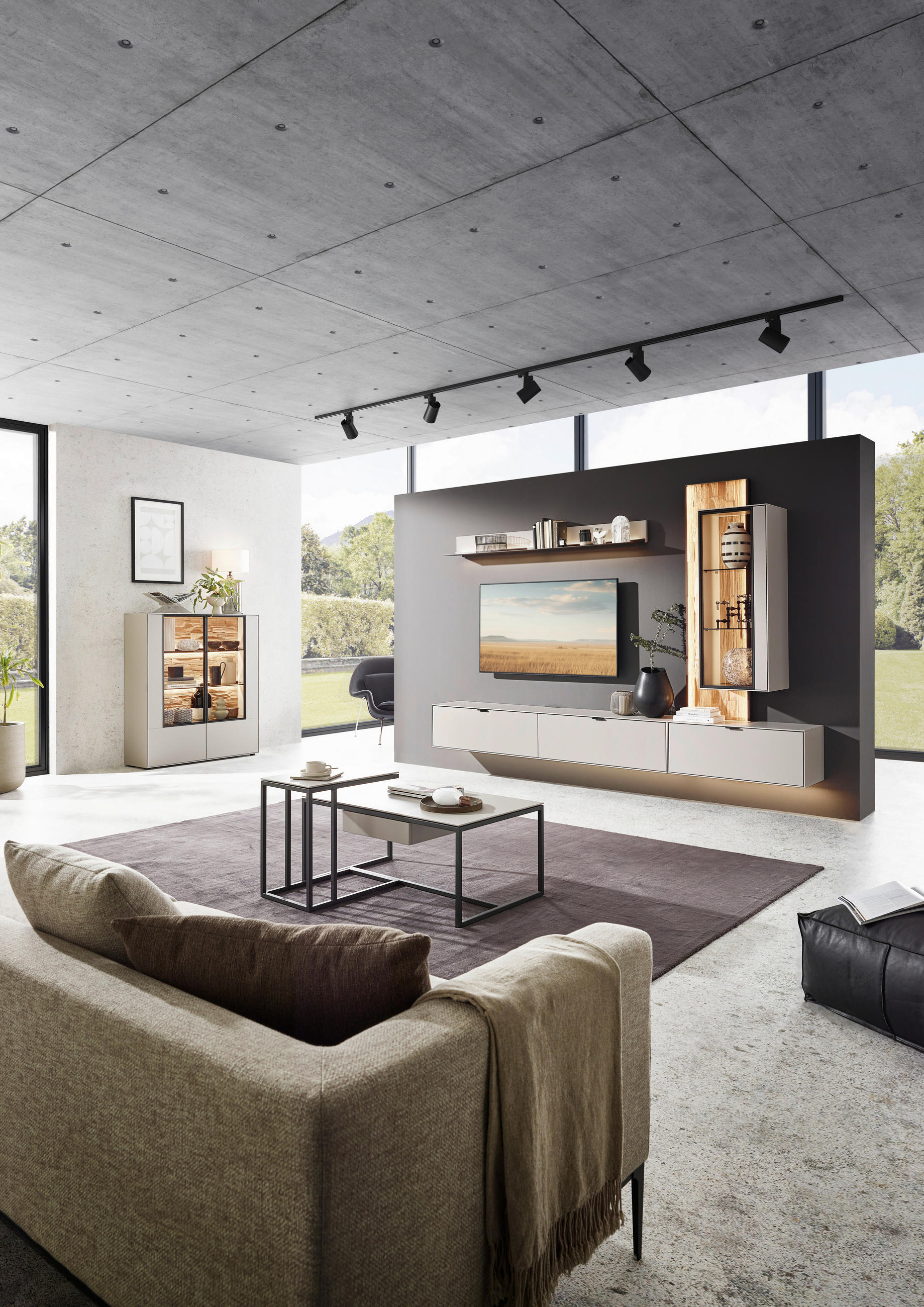 Dieter Knoll WOHNWAND Grau, Wildeiche 304cm × 37cm × 220cm