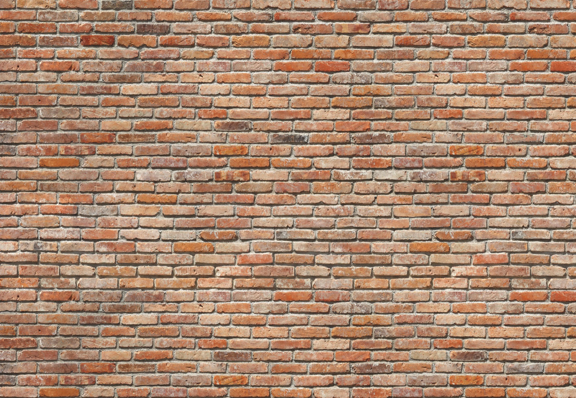 FOTOTAPETA velikost: 368/254 cm - terracotta, Konvenční, papír (368/254cm)