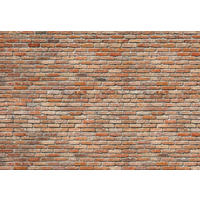 FOTOTAPETA velikost: 368/254 cm - terakotová, Konventionell, papier (368/254cm)