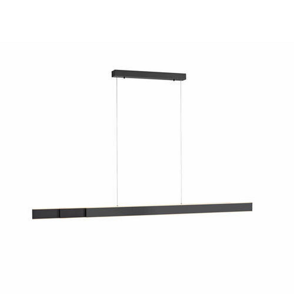 LED-HÄNGELEUCHTE 179/4,8/120-180 cm    - Anthrazit, Design, Kunststoff/Metall (179/4,8/120-180cm) - Neuhaus PURE