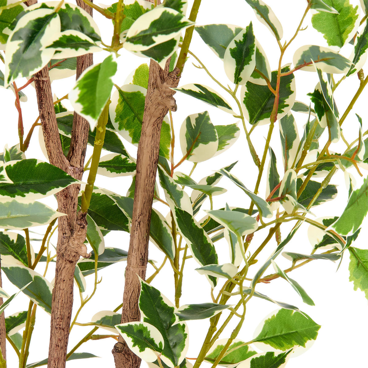 KUNSTPFLANZE Ficus Benjamina 190 cm  - Creme/Braun, Basics, Kunststoff (190cm)