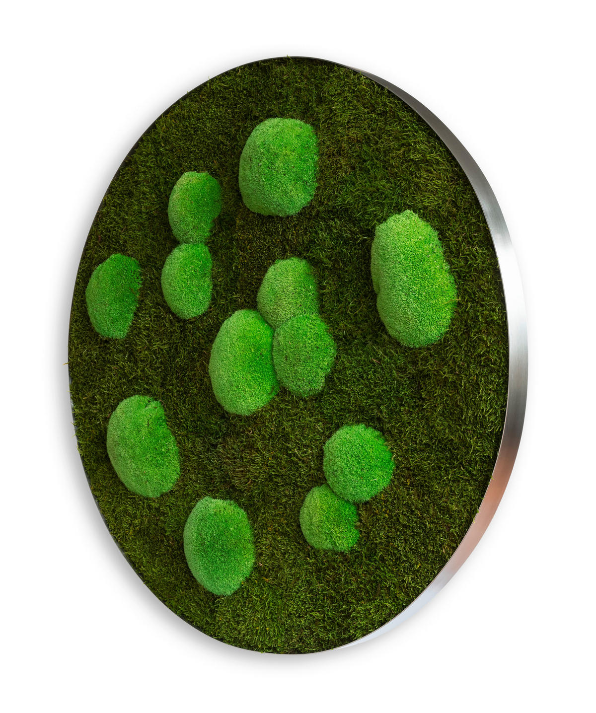 MOOSBILD Stylegreen  - Grün, Basics, Naturmaterialien/Metall (80/6cm)