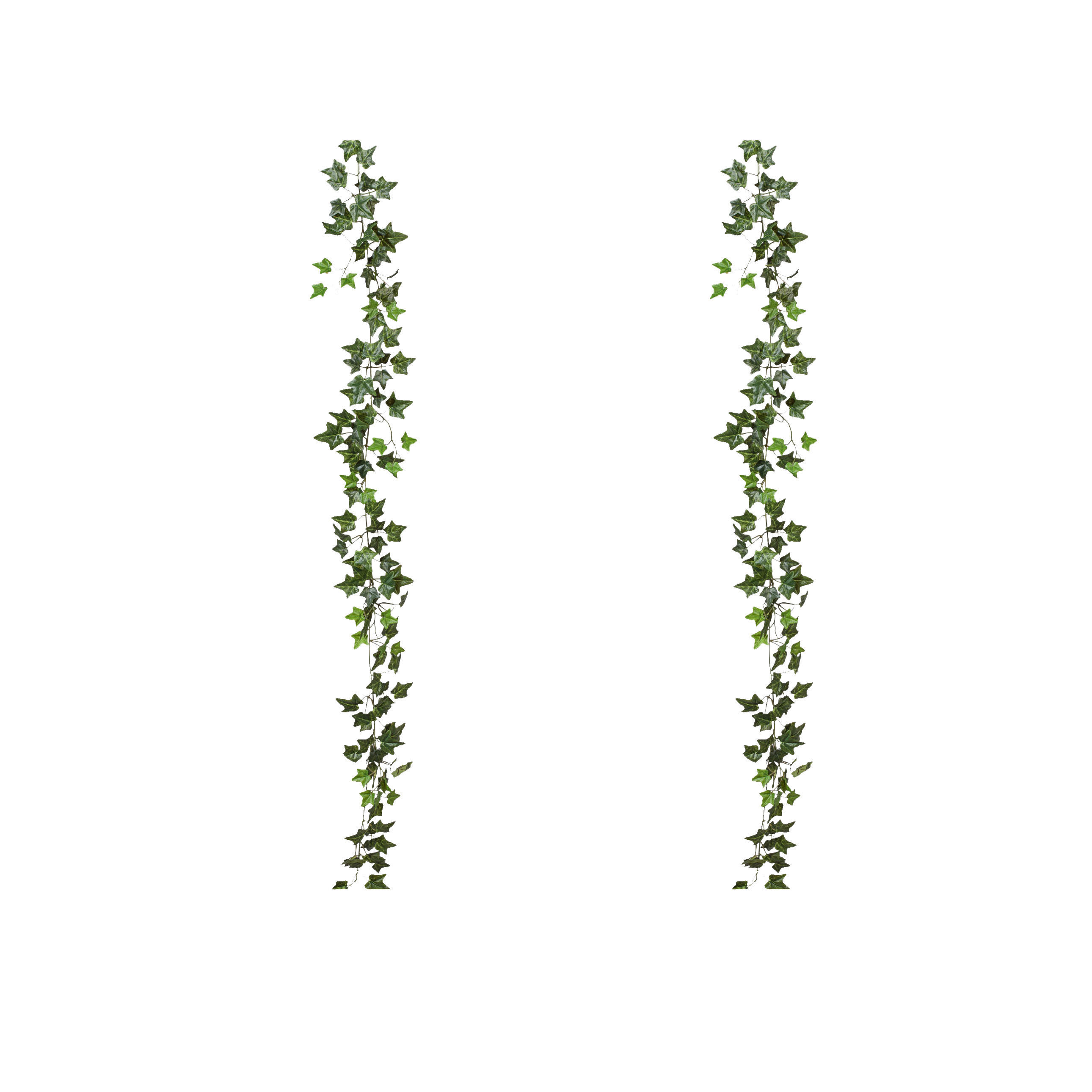 KUNSTPFLANZE Efeu 180 cm  - Grün, Design, Kunststoff (180cm) - P & B