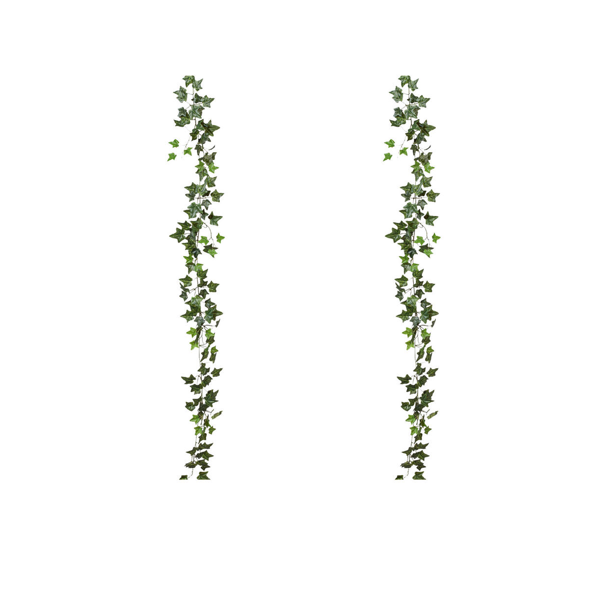 KUNSTPFLANZE Efeu 180 cm  - Grün, Design, Kunststoff (180cm) - P & B