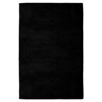 FLACHWEBETEPPICH 120/170 cm Schwarz  - Schwarz, Basics, Textil (120/170cm) - Kayoom