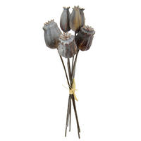 MOHN  - Grau, Basics (8/27cm)