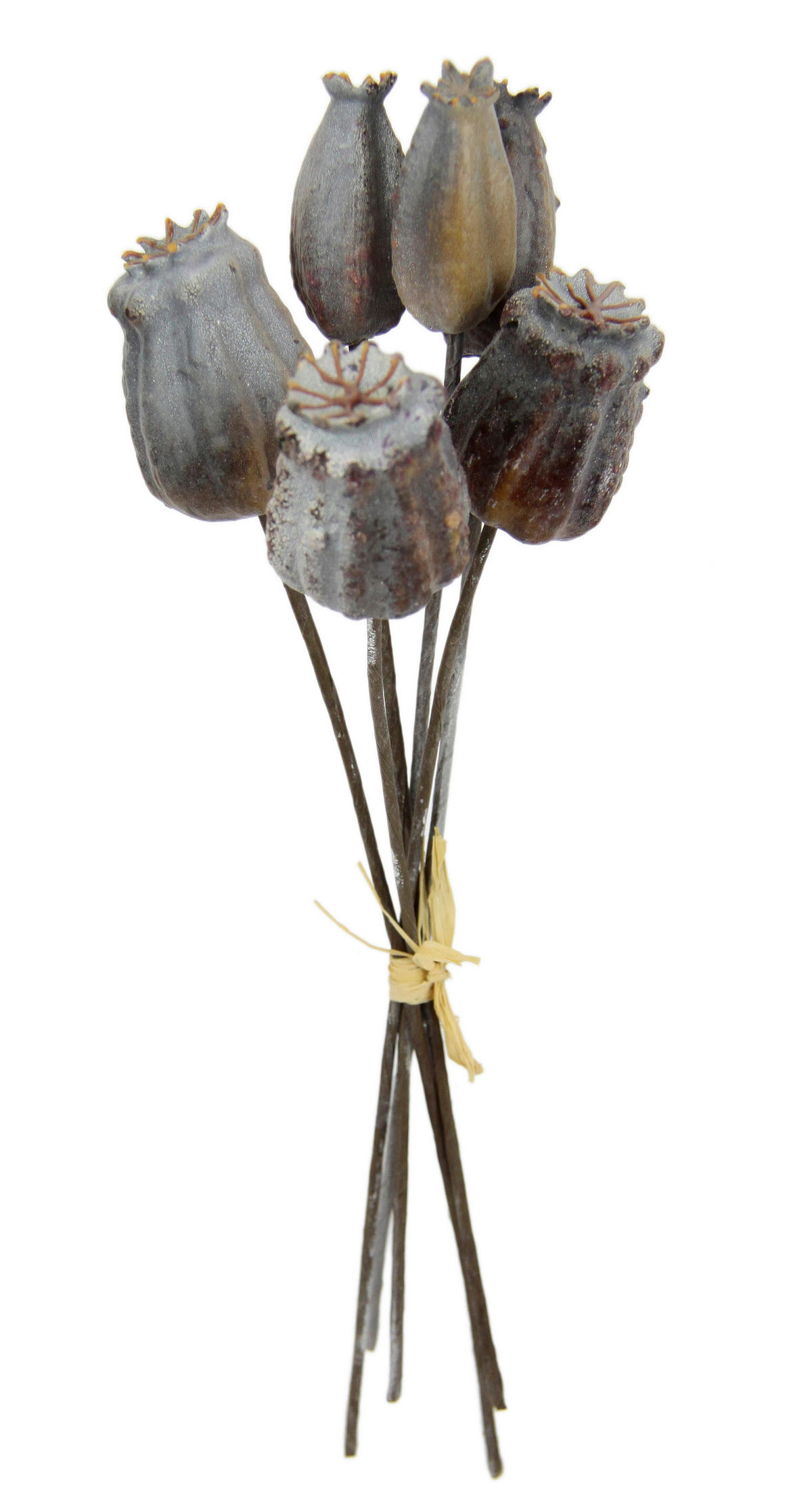 MOHN  - Grau, Basics (8/27cm)