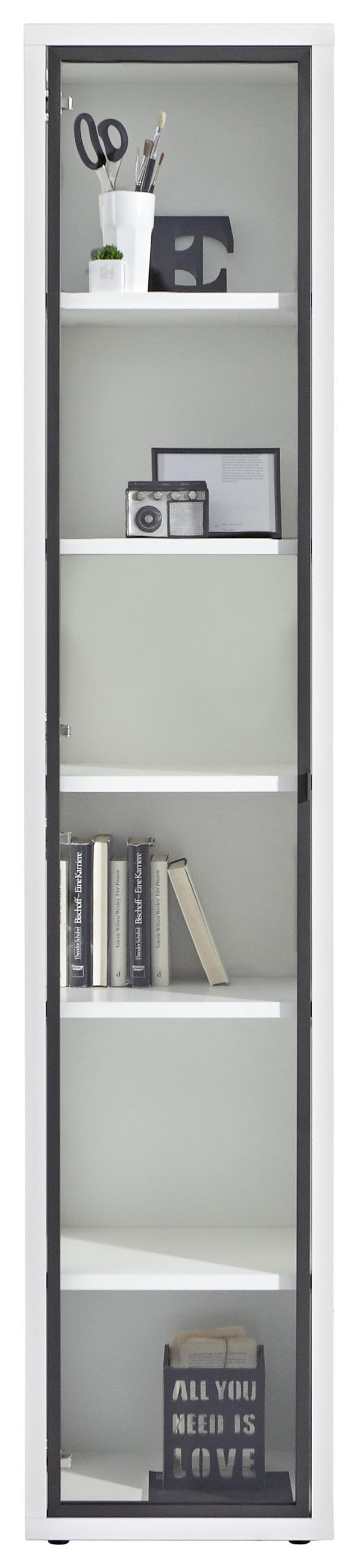 VRATA - antracit, Design, kovina/steklo (37/209/2cm) - Carryhome