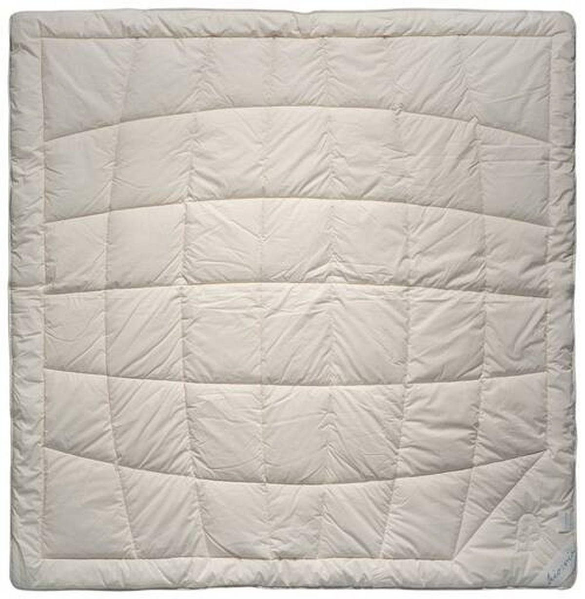 POPLUN CJELOGODIŠNJI 240/220 cm  MAGIC WOOD  - prirodne boje, Basics, tekstil (240/220cm) - Bio:Vio