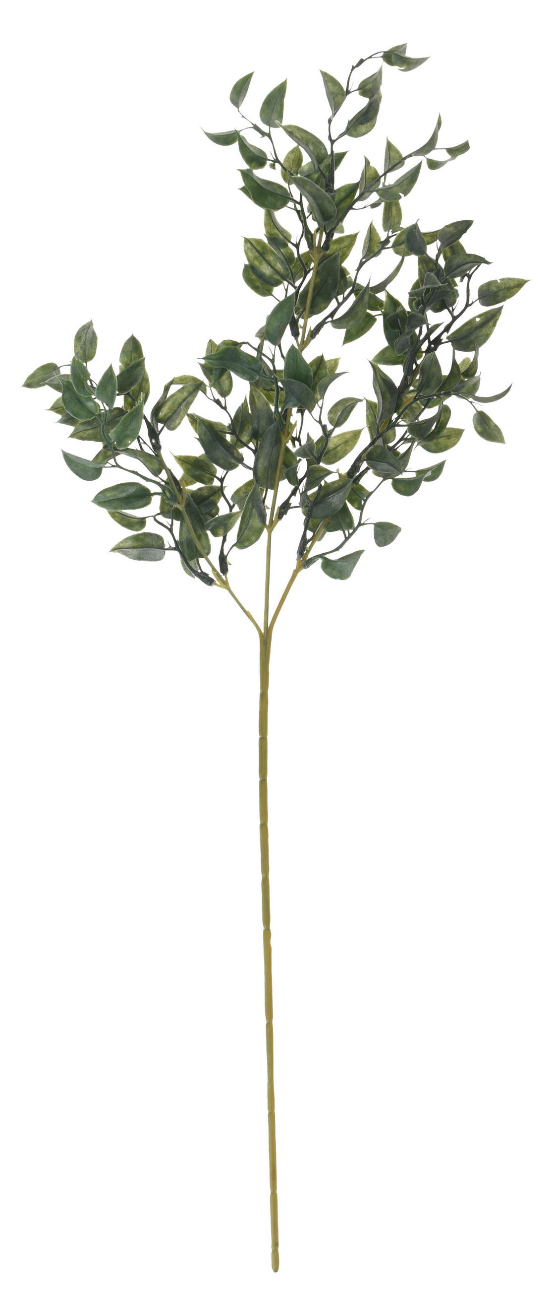 RAMURĂ DECORATIVĂ - verde, Basics, plastic (66cm)