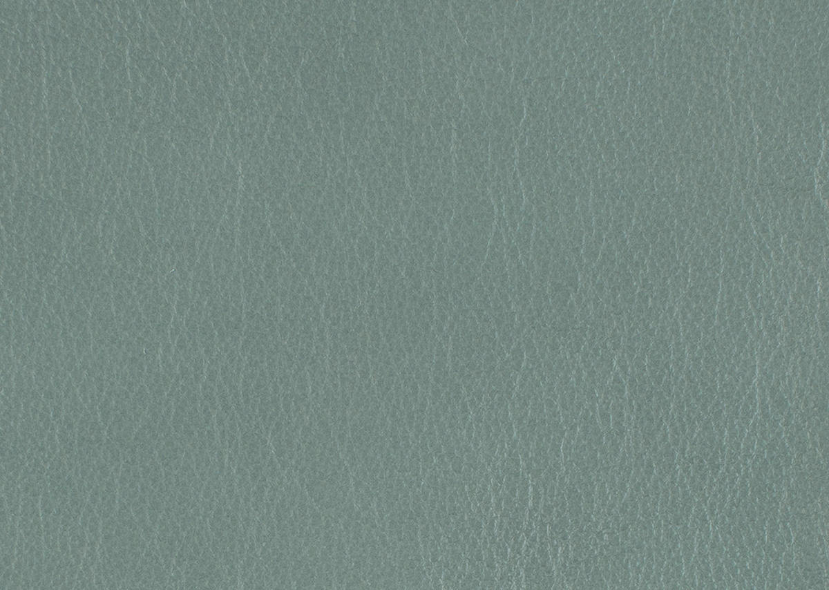 RELAXSESSEL in Leder Opal  - Edelstahlfarben/Opal, Design, Leder/Metall (76/119/86cm) - Dieter Knoll