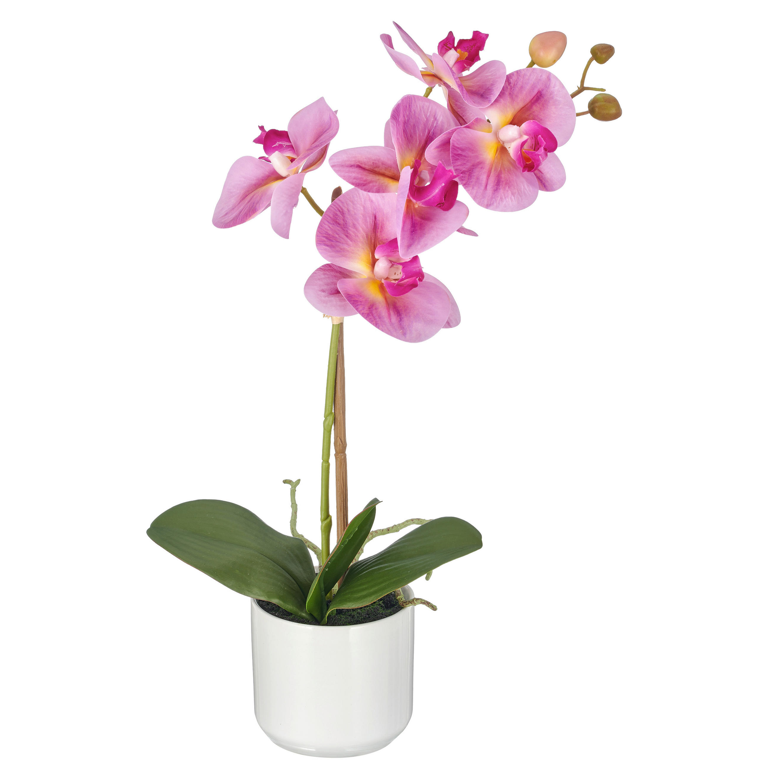 XXXLutz Kunstblume Lila 46 cm