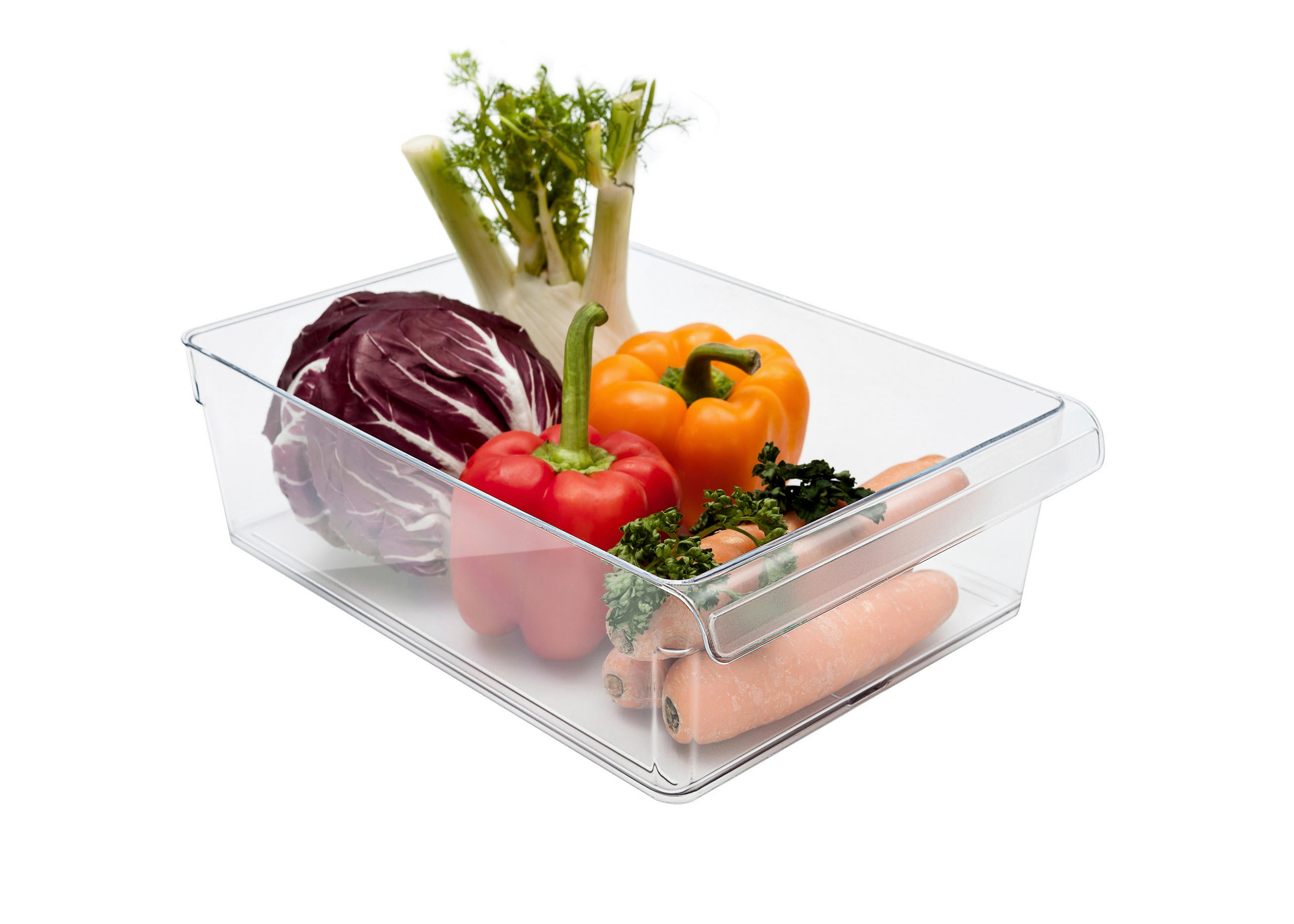 KÜHLSCHRANKBOX  - Transparent, Basics, Kunststoff (31/22/9cm) - Rotho