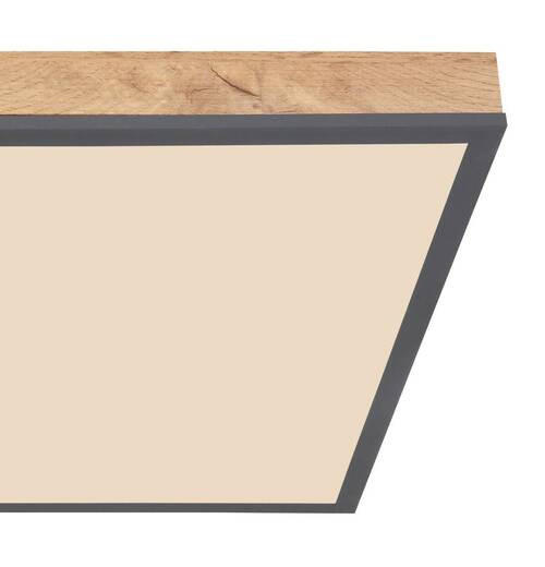 STROPNA LED-SVETILKA DORO 24 W//2700-6000 K/230 V/ - barve grafita/opal, Basics, kovina/umetna masa (45/45/7,6cm) - Globo