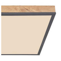 LED-DECKENLEUCHTE - Opal/Graphitfarben, Basics, Kunststoff/Metall (45/45/7,6cm) - Globo