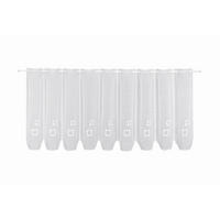 KURZGARDINE   145/45 cm   - Weiß, Basics, Textil (145/45cm)