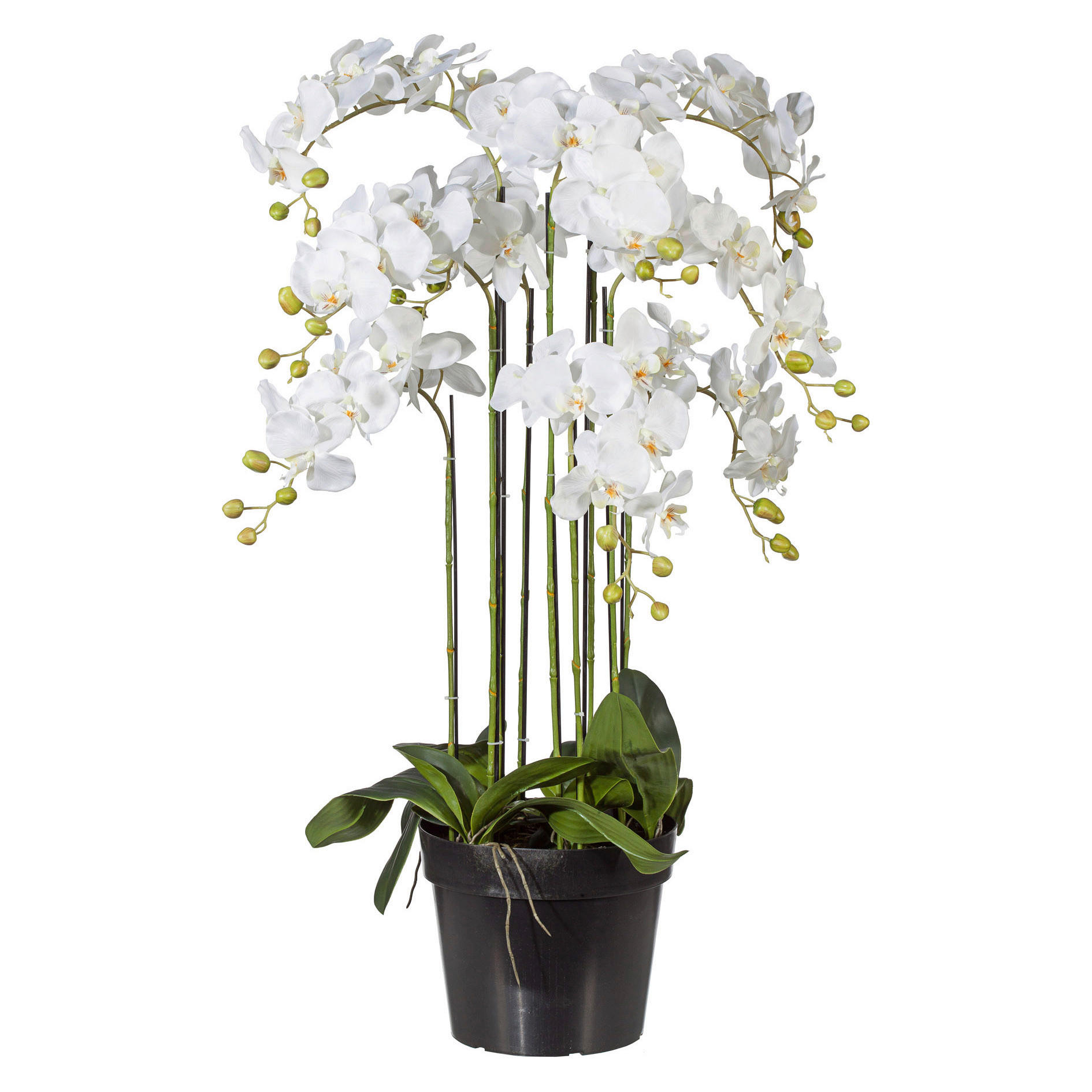 KUNSTBLUME Orchidee  - Weiß/Grün, Basics, Kunststoff (90cm) - P & B