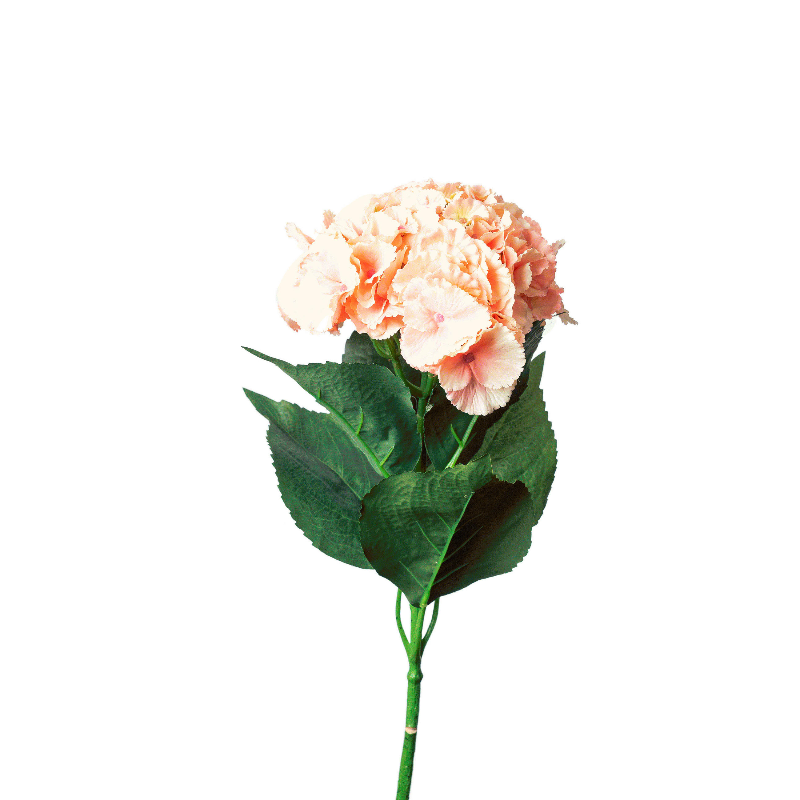 HORTENSIE  - Rosa/Weiß, Basics, Kunststoff (70cm)