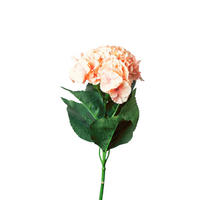 HORTENSIE  - Rosa/Weiß, Basics, Kunststoff (70cm)