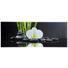 GLASBILD - Multicolor, KONVENTIONELL, Glas (50/125/2cm) - EUROGRAPHICS